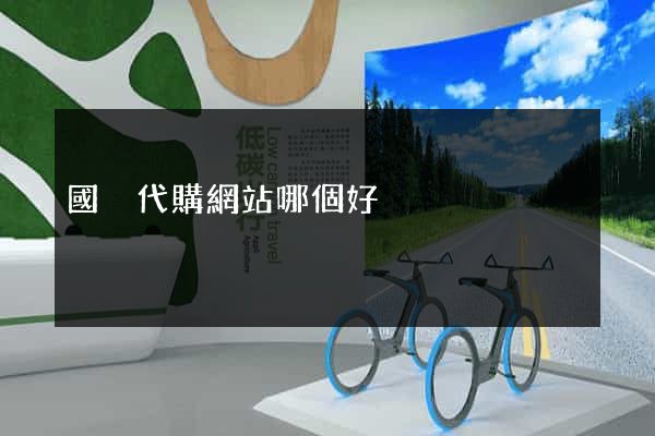 國內代購網站哪個好